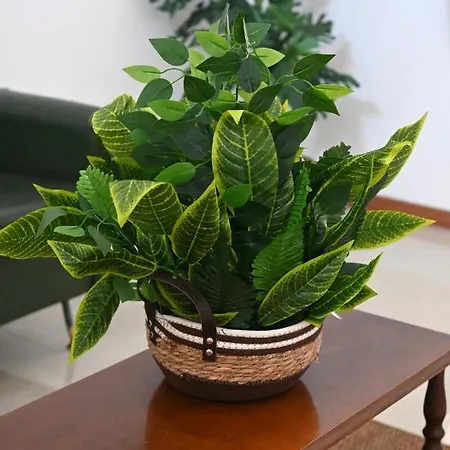 Апартаменты Loft Mazzini *